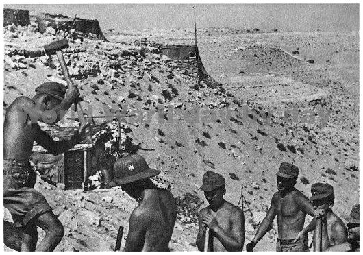 Battle of el alamein pictures wikipedia